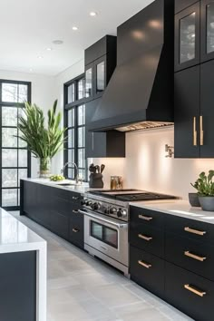 a modern kitchen with black cabinets and stainless steel stove top oven, potted plants on the counter