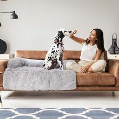 a woman sitting on a couch petting a dalmatian dog