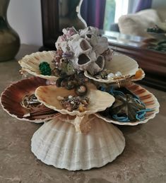 three seashells are stacked on top of each other in front of a mirror