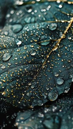 water droplets on a green leaf in the rain, with gold and silver details all over it