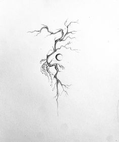 a pencil drawing of a tree branch with two balls hanging from it's branches