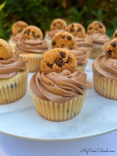 there are many cupcakes with chocolate chips on them