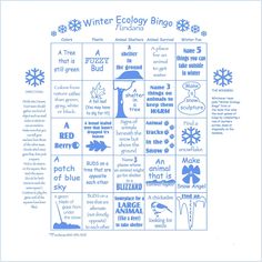 a blue and white winter ecology bingo game