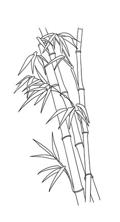 a black and white drawing of a bamboo tree