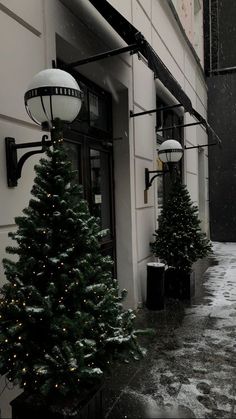 christmas trees are lined up in front of a building on a snowy day with snow falling