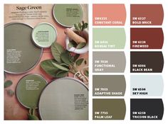 the color scheme for sage green is shown in several different colors and sizes, including shades of