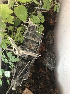 an old machine is sitting on the ground next to some plants and dirt with leaves growing out of it