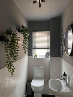 a white toilet sitting next to a sink in a bathroom under a window with plants growing on the wall