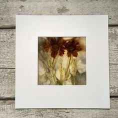 two red flowers in a white frame on a wooden surface