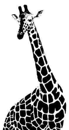 a black and white giraffe sitting down with its head turned to the side