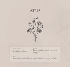 a flower with the words aster on it's back side and an image of flowers