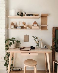 a desk with two shelves above it and some plants on the wall next to it