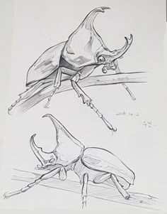 a pencil drawing of two bugs sitting on top of each other next to a pen