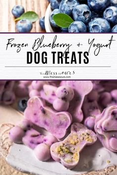 blueberries and yogurt dog treats on a plate with the title overlay