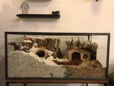 a fish tank filled with lots of sand and gravel