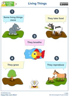 an animal life cycle worksheet for kids to learn how to live and eat