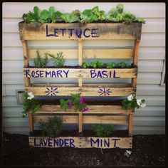 a wooden pallet filled with plants and writing on it