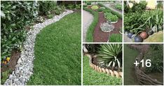 several pictures of different types of plants in the yard and on the lawn, along with numbers for each type of plant