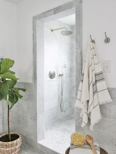 a bathroom with white walls and marble flooring, a potted plant in front of the shower