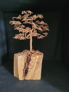 a small tree sitting on top of a wooden block with roots growing out of it