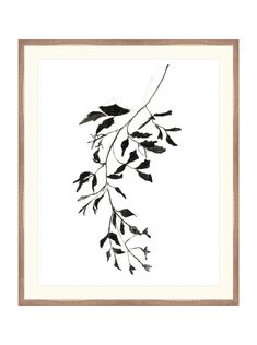 a black and white photo with leaves hanging from it's side, in a gold frame