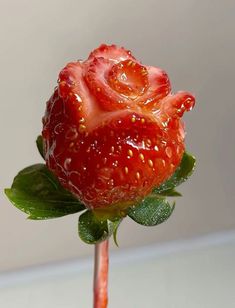 a single red rose with water droplets on it's petals and green leafy stems