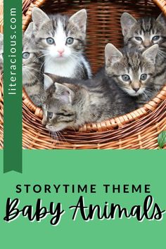 three kittens in a basket with the words storytime theme baby animals