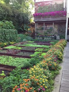 an outdoor garden with many different types of flowers and plants growing in the ground next to each other