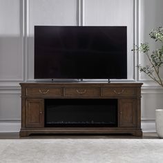 a flat screen tv sitting on top of a wooden entertainment center next to a potted plant