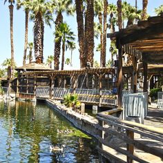 ducks swimming in the water next to a wooden pier and palm tree lined area with pavilions