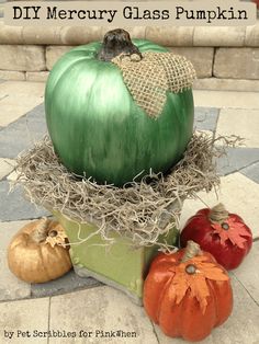 a green pumpkin sitting on top of a pile of hay next to other pumpkins