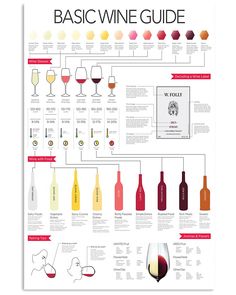 the basic wine guide for beginners to learn how to make wines and tasting them