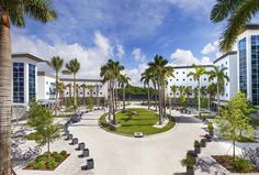 an outdoor courtyard with palm trees and benches