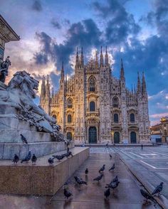 birds are standing around in front of the cathedral