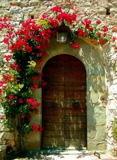 an old door with red flowers growing over it