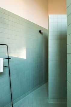 a green tiled bathroom with a shower head and hand rail in the corner next to it