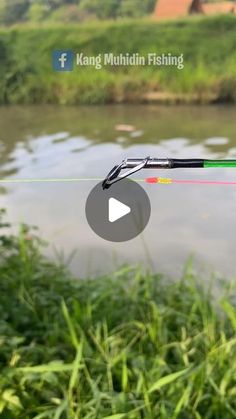 a fishing rod is hooked up to the water's edge with grass in the foreground