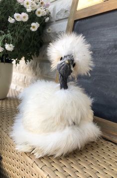 a stuffed bird sitting on top of a table next to a chalkboard and flowers