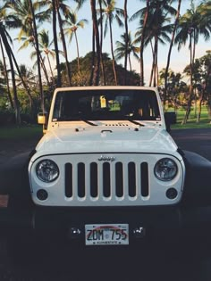 a white jeep parked in front of palm trees