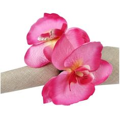 three pink flowers sitting on top of a piece of cloth