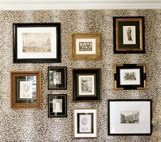 a wall with many framed pictures on it, including an animal print pattern and various frames