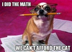 a dog wearing glasses and holding a pencil in its mouth while sitting on top of papers