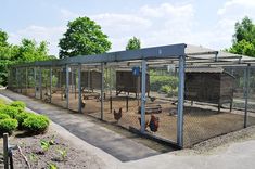 an enclosed area with chickens in it