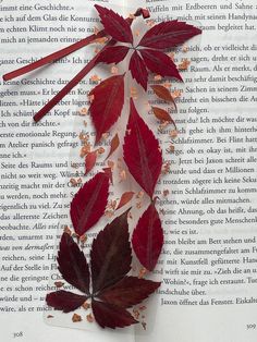 an open book with some red leaves on it