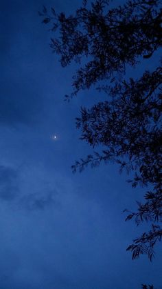 the moon is seen through some trees in the night sky, with no clouds on it