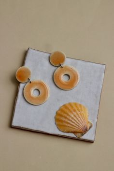 two seashells are sitting on top of a white plate with orange circles and a shell