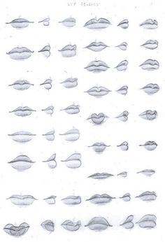 an image of different lips drawn in pencil