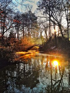 the sun shines brightly through the trees and water