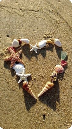 starfish and shells arranged in the shape of a heart