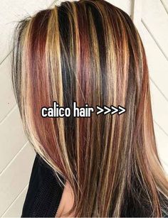 #whisper #calicohair #chunkyhighlights Hairstyles For Overgrown Roots, Kelly Clarkson Highlights, Calico Hair Raccoon Tail, 2000s Skunk Highlights, Red And Blue Highlights In Brown Hair, Uncommon Hair Colors, Chunky Highlights With Color, Calico Chunky Highlights, Long Calico Hair